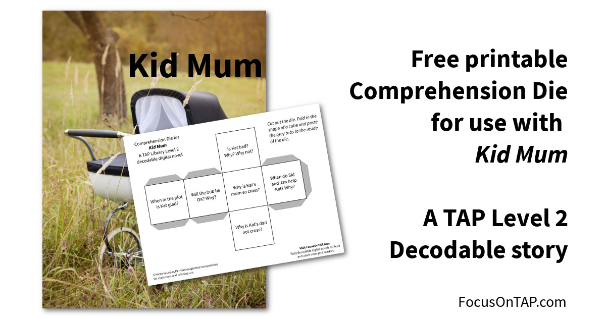Offers comprehension die printout for Kid Mum decodable book for teenagers and adults